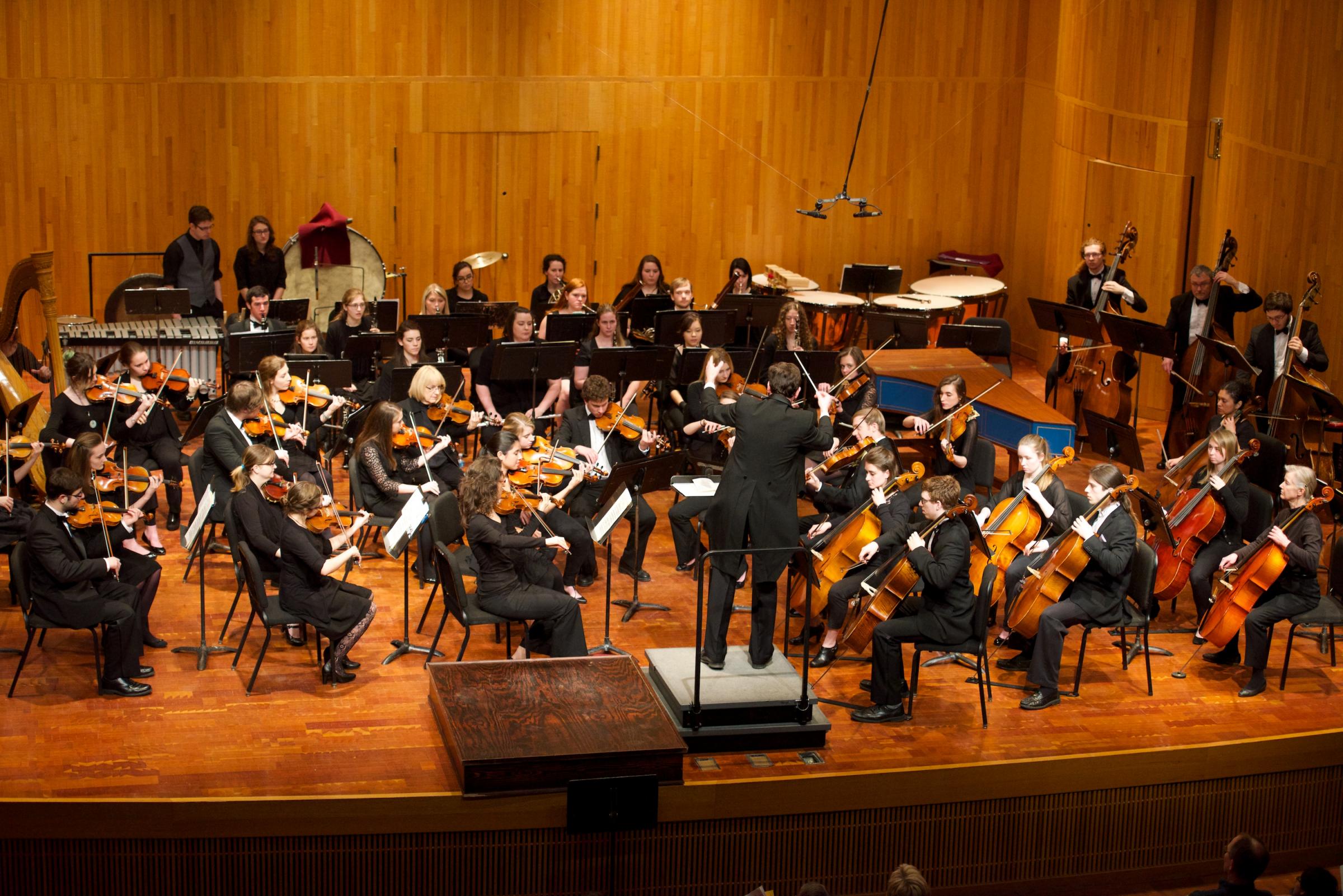 39+ Symphony Orchestra Musicians Background - Symphony of The World