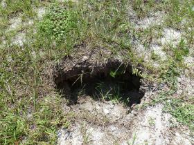Sinkholes on What Florida Homeowners Should Know About Sinkholes   Wlrn