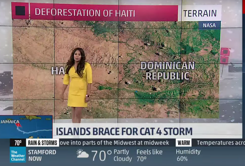 Weather Channel meteorologist apologizes to Haitian community after saying deforestation caused by hungry kids who "eat trees."