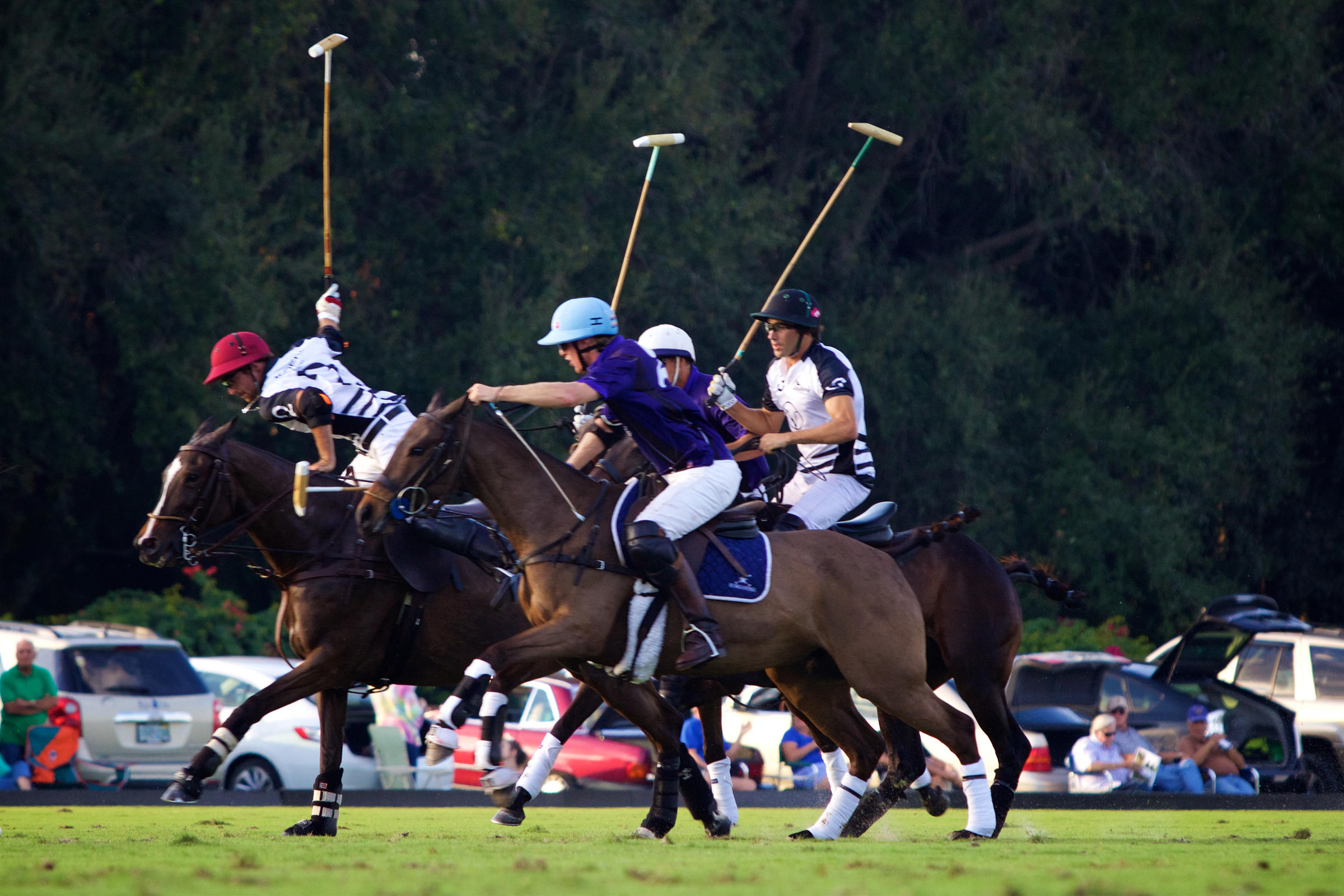 The Game Is Afoot Polo Season Opens In Wellington WLRN