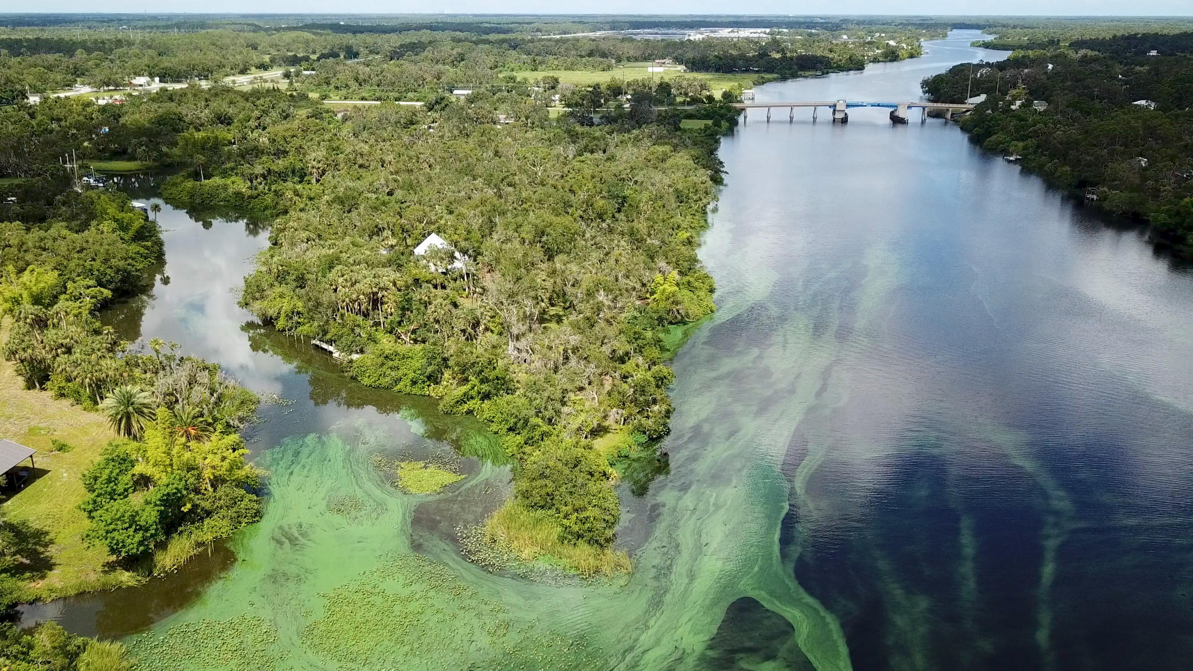 Measures That Would Help Address Florida's Harmful Algal Blooms Remain