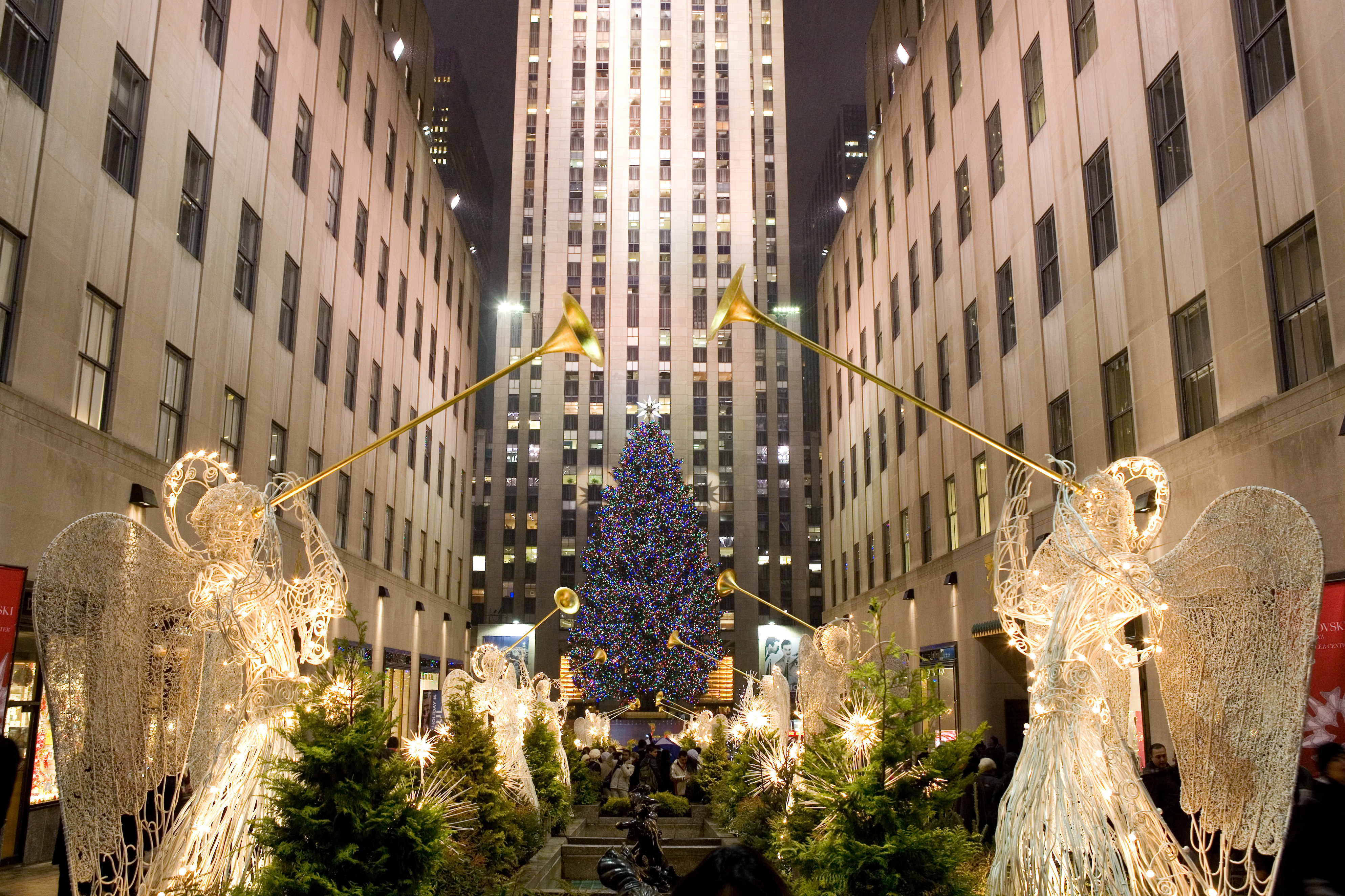 Rockefeller Center Christmas Tree Is Connecticut Born and Raised | WNPR News