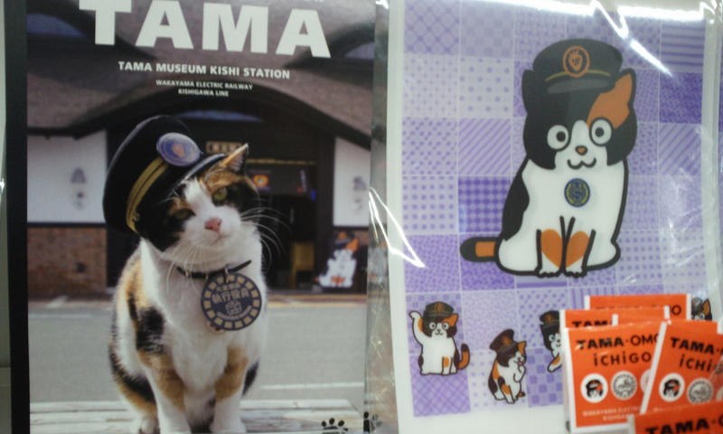 Tama The Stationmaster Cat Alabama Public Radio