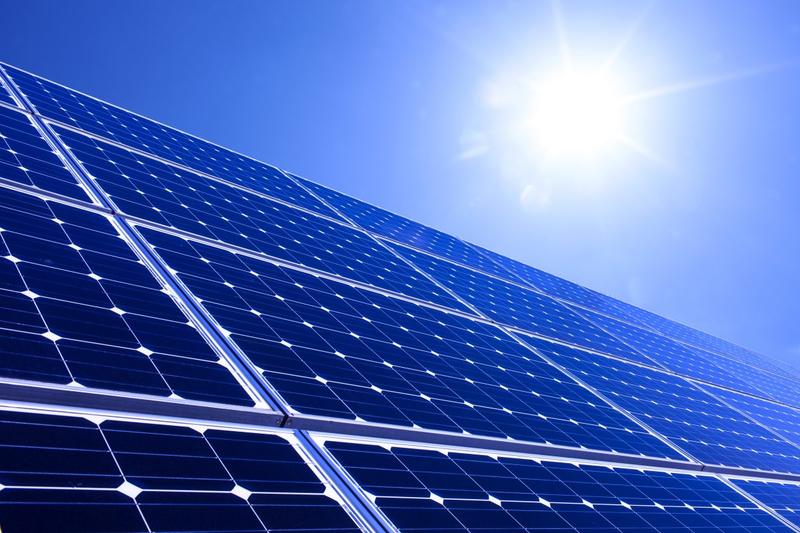 Solar Farm In East Pasco Given The Green Light WUSF News