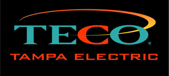 Teco Electric Rates