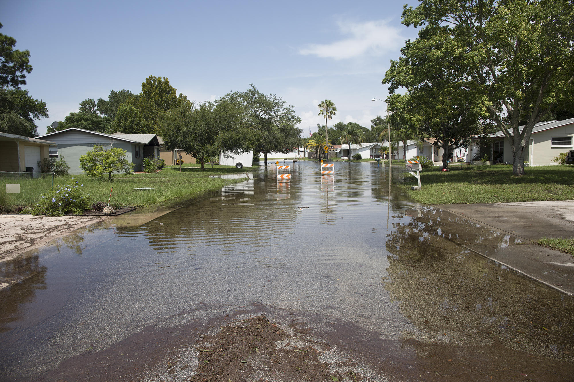 flood zone by address pasco