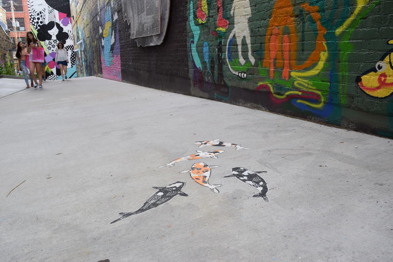 Painted Koi Fish Have Been 'Swimming' On Milwaukee's Sidewalks For Over A Decade