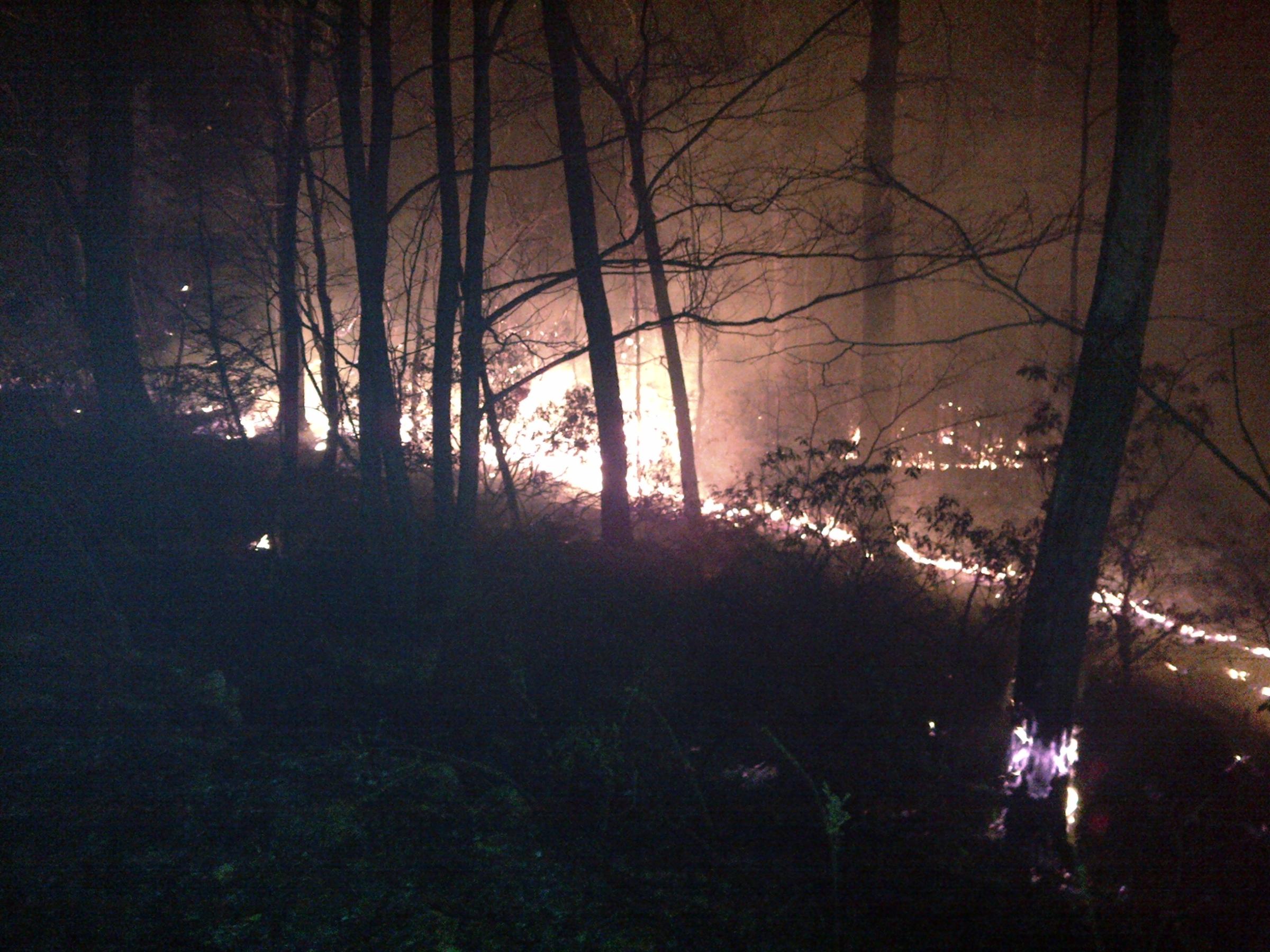West Virginia Forest Fire Season Begins, Burning Limited West