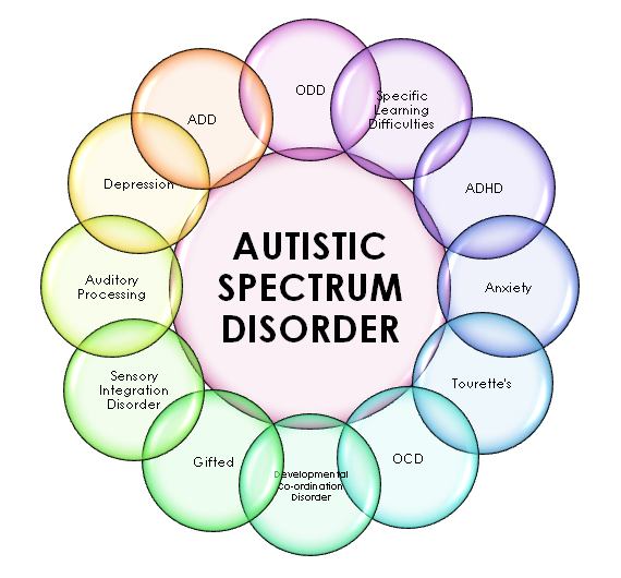 autism adult spectrum test