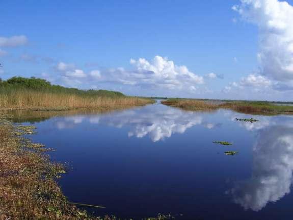 Indian River Lagoon Has Clear Water Again | Health News Florida