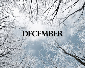 I want to add another December holiday | HPPR