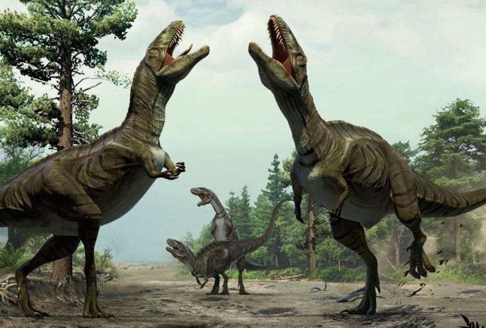 Disco Dinosaurs? Dancing May Have Been a Part of Dino Life | HPPR