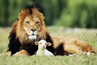 In like a lion, out like a lamb | HPPR