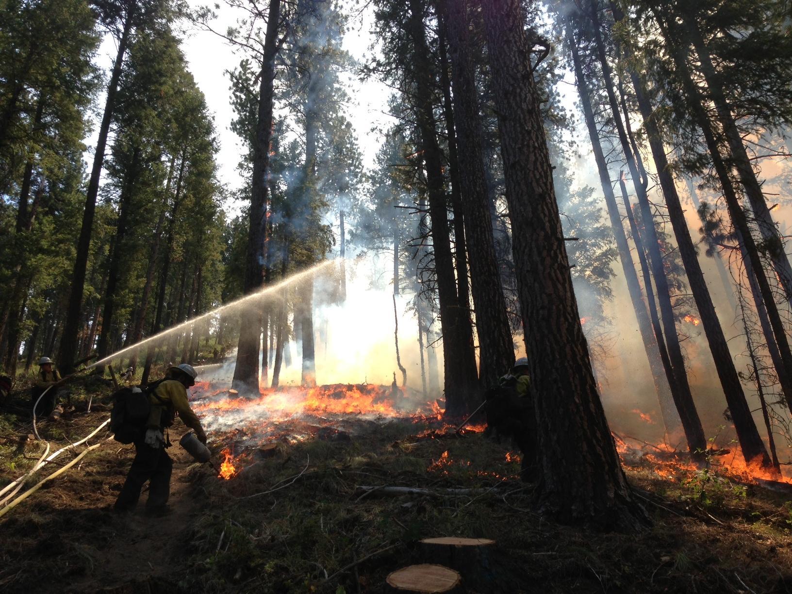 Idaho Wildfire Update Ridge Fire At 3,000 Acres, Pine Creek Fire 80