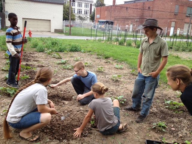 Urban farming becomes a family affair | Innovation Trail