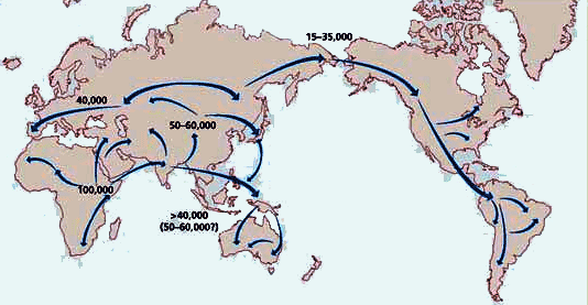 Human Fossil Remains: 