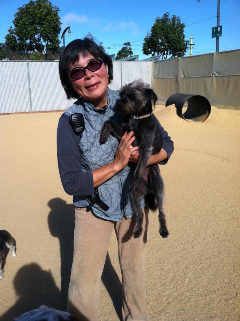 anna gil of dogpile dogs