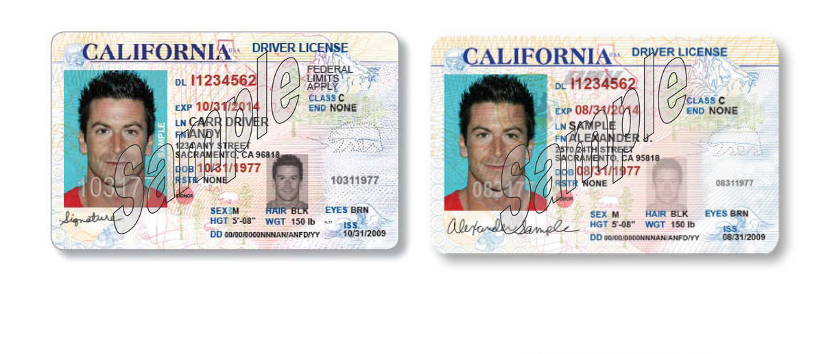 In the New Year California Issues Driver's Licenses to Illegal ...