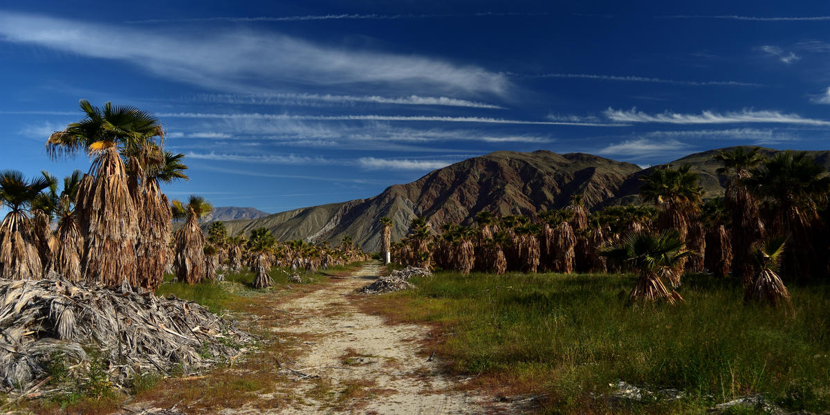 Up The Road AnzaBorrego Desert State Park NSPR