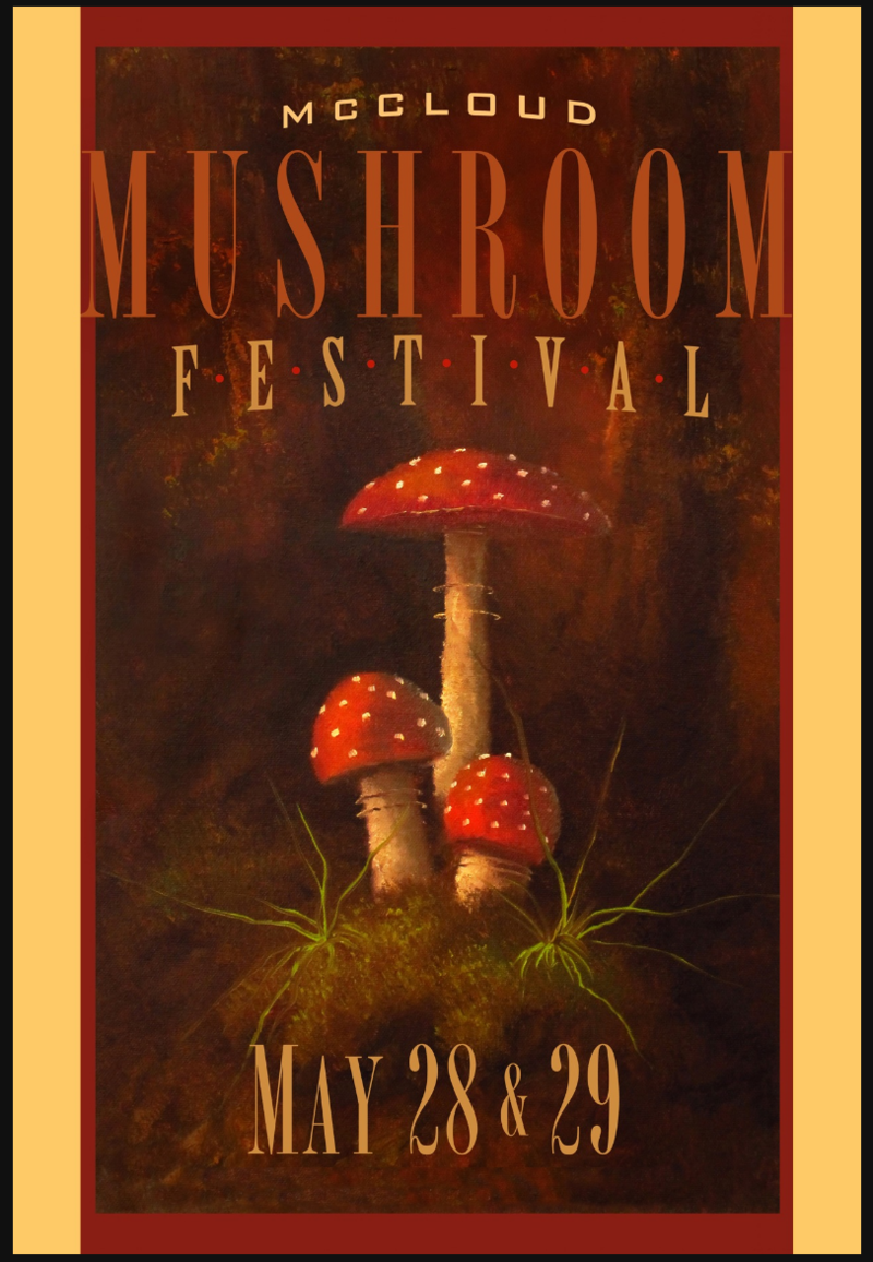 Up The Road McCloud Mushroom Festival NSPR