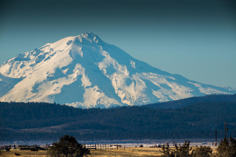 Up The Road: Staying Cool At Shasta 1 | NSPR