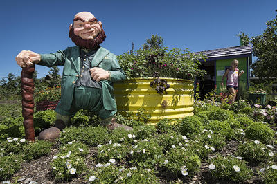 Kansas City Botanical Gardens >> 6 Colorful Things To Do In Kansas City This Weekend Kcur Kansas City Botanical Gardens >> 6 Colorful Things To Do In Kansas City This Weekend Kcur