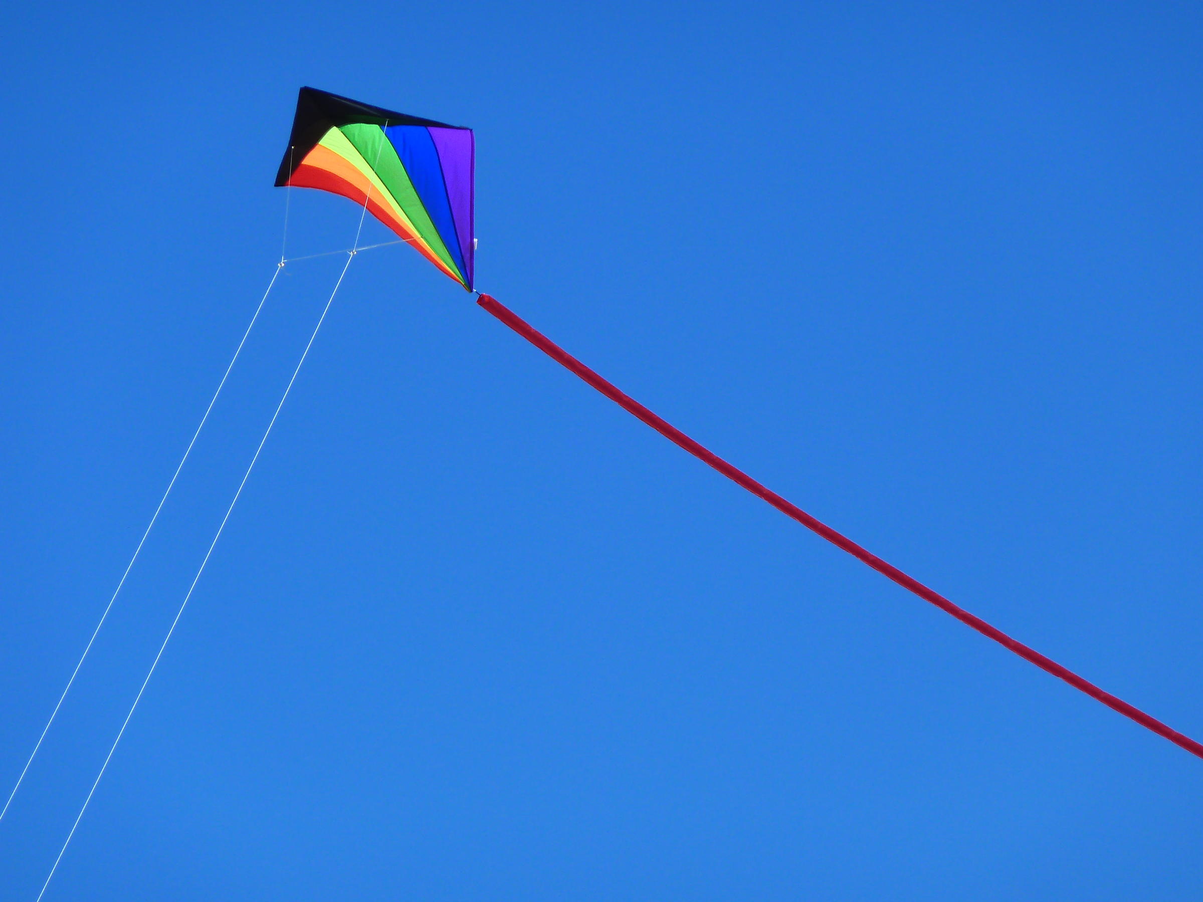 kites will be flying high this weekend at kitefest 2015 in