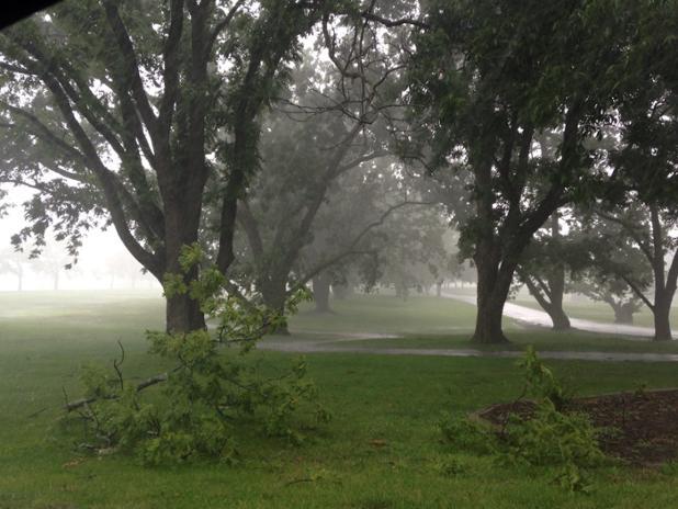 tree limbs down after storm passes through unity village just
