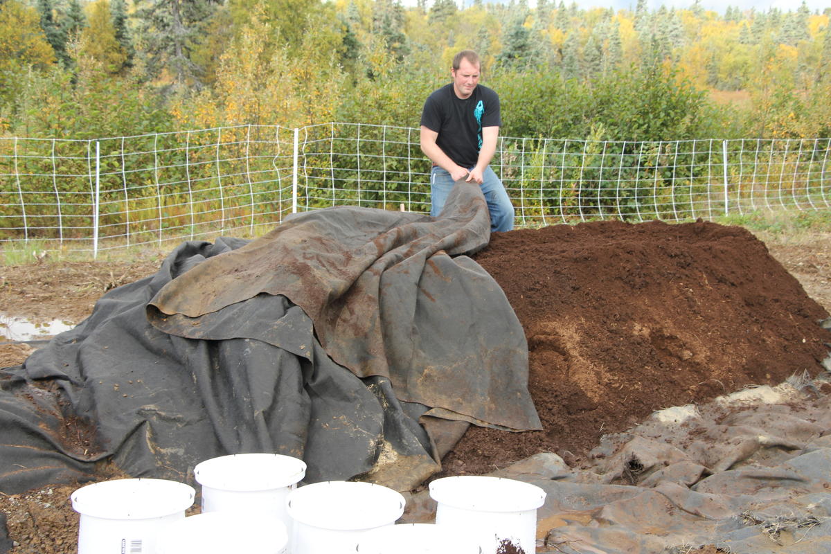 Fish compost project heating up for winter KDLG