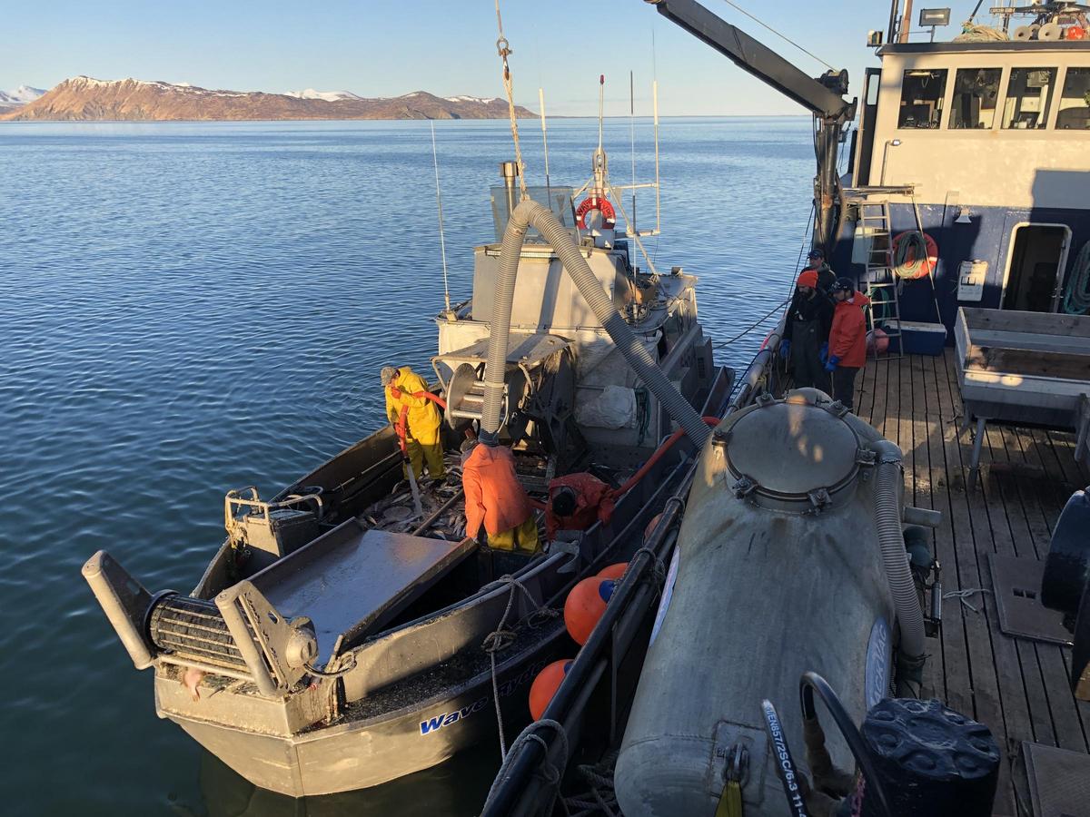 Togiak herring says the season was worth it, but not for the