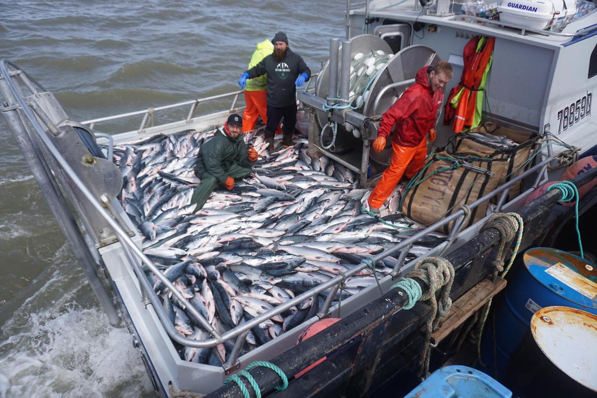 Bristol Bay Fisheries Report: July 1, 2021 | KDLG