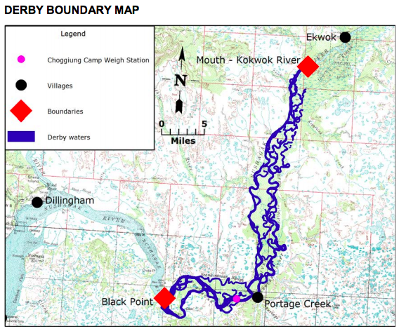 New king salmon derby lures anglers to Nushagak River | KDLG