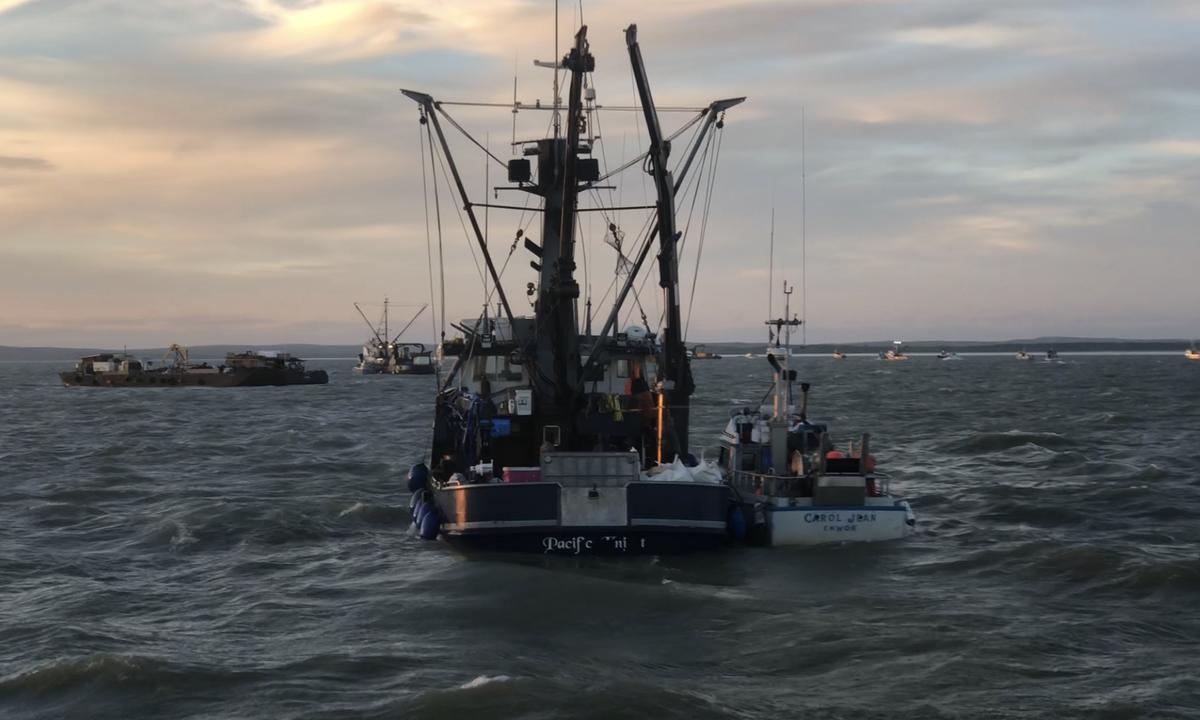 Salvage Team Refloating F V Pacific Knight Kdlg