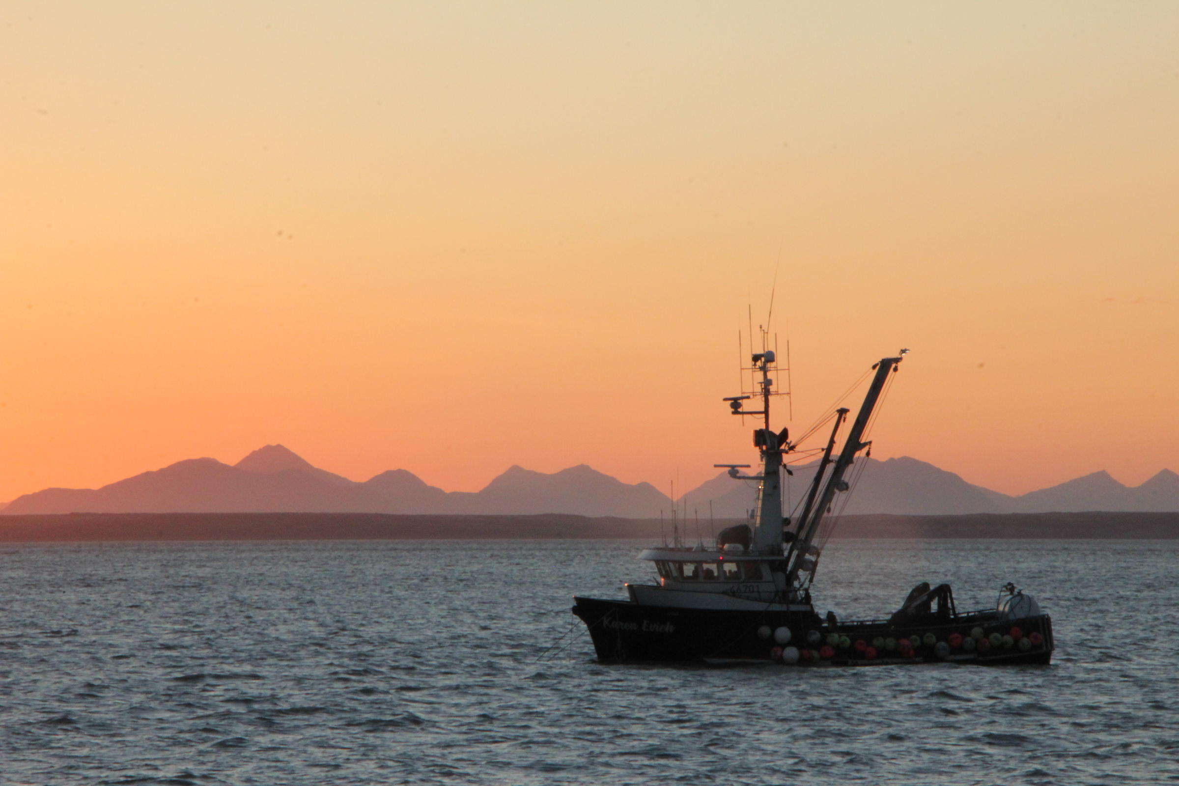 Bristol Bay Fisheries Report August 2 2019 Kdlg
