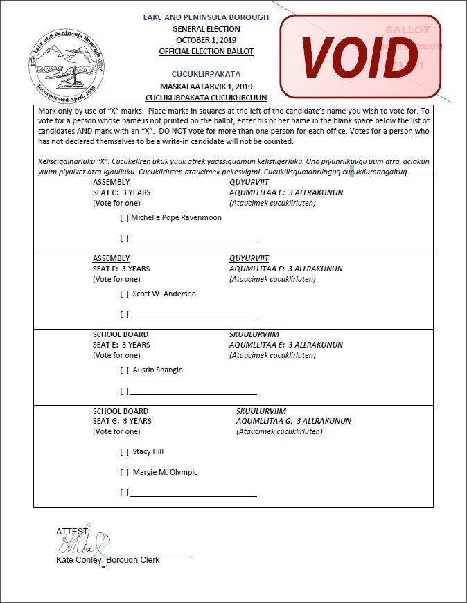 Sample Ballot Paper For Borough : Bergen County Clerk Sample Ballots - If the new board of ...