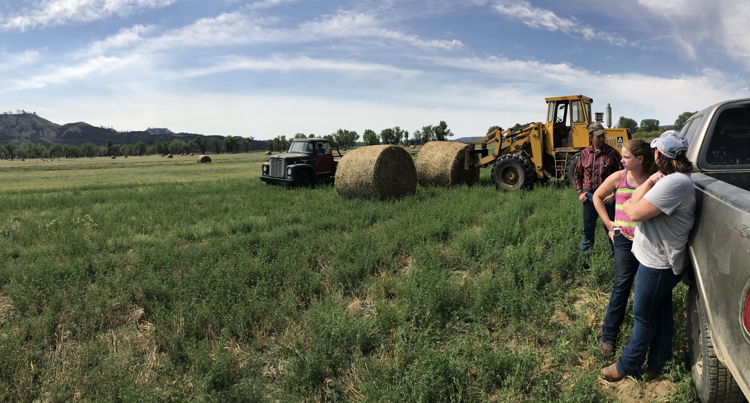 'A Wall Of Black' Montana Ranchers React to Nation's Largest Wildfire