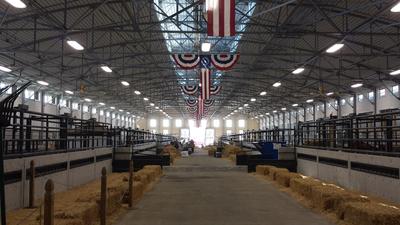 A Good Place To Be A Cow At Fort Worth Stock Show Animals Are