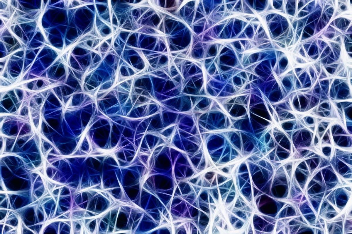 The Body Show: Nerves | Hawaii Public Radio
