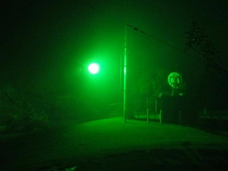 Kauai Military Base Urged To Dim Lights To Protect Native Seabirds