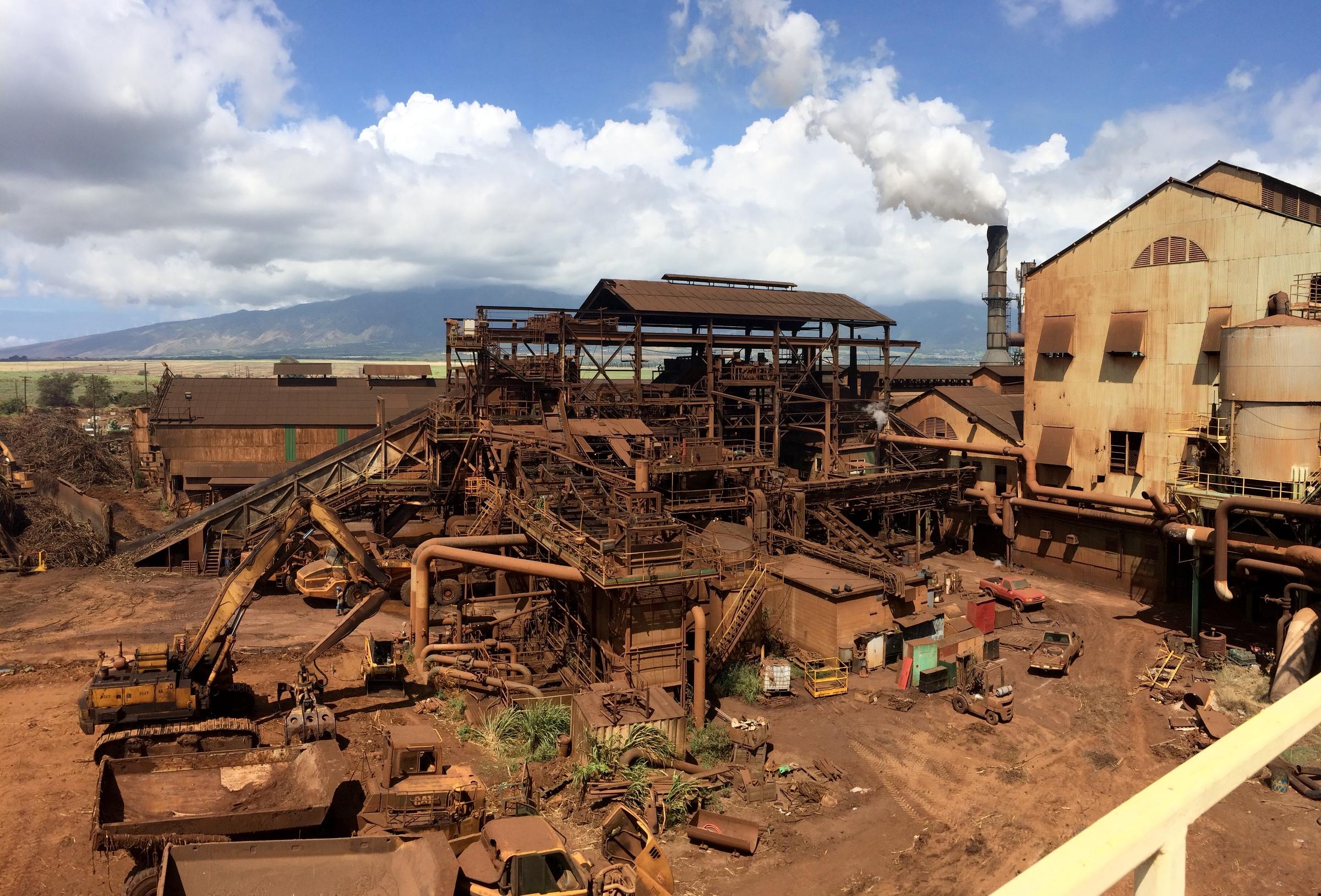 Final Harvest Underway As Hawaii Sugar Comes To An End Hawaii Public