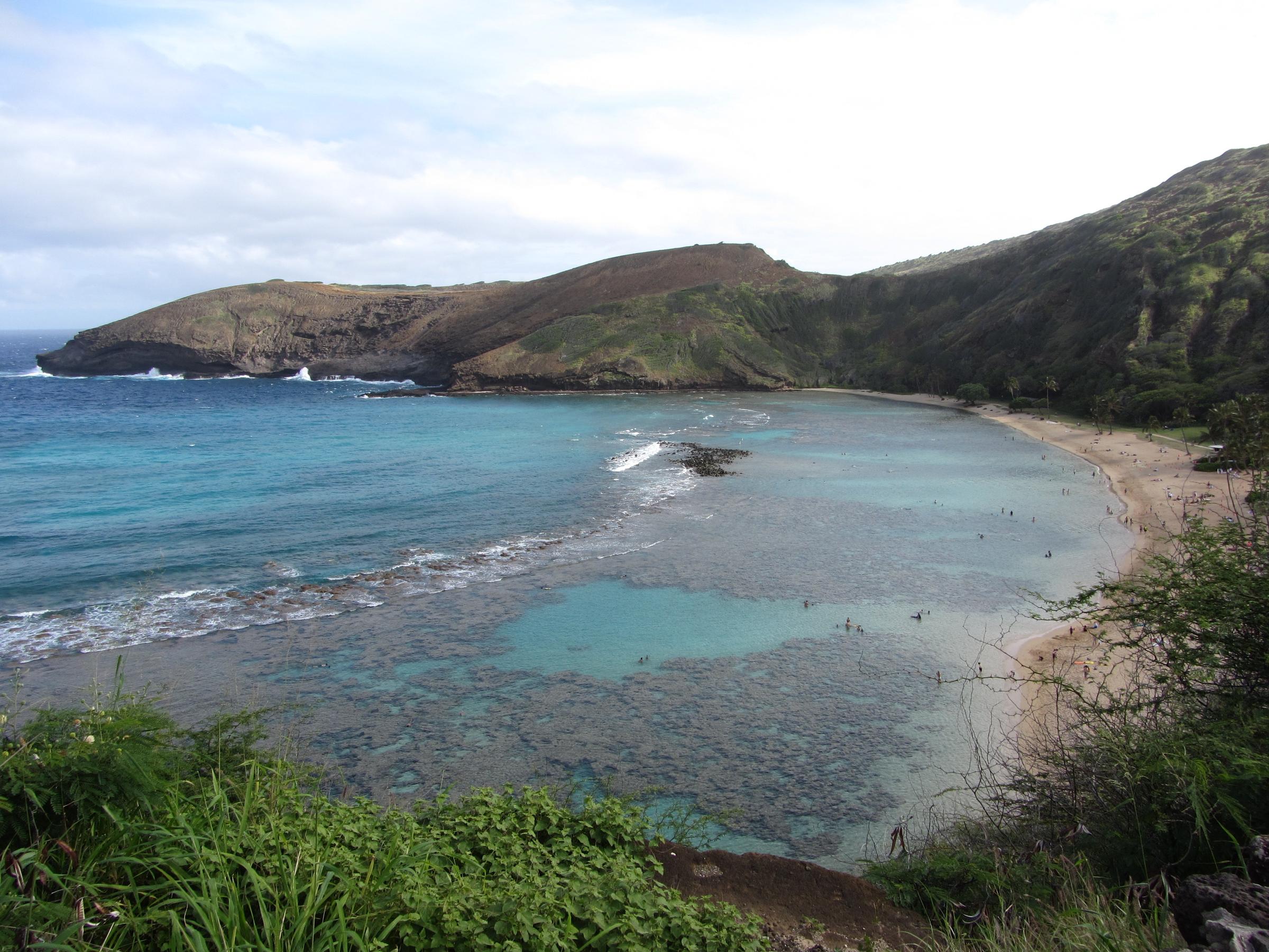Hanauma Bay To Close Wednesday Following Elevated Bacterial Reading
