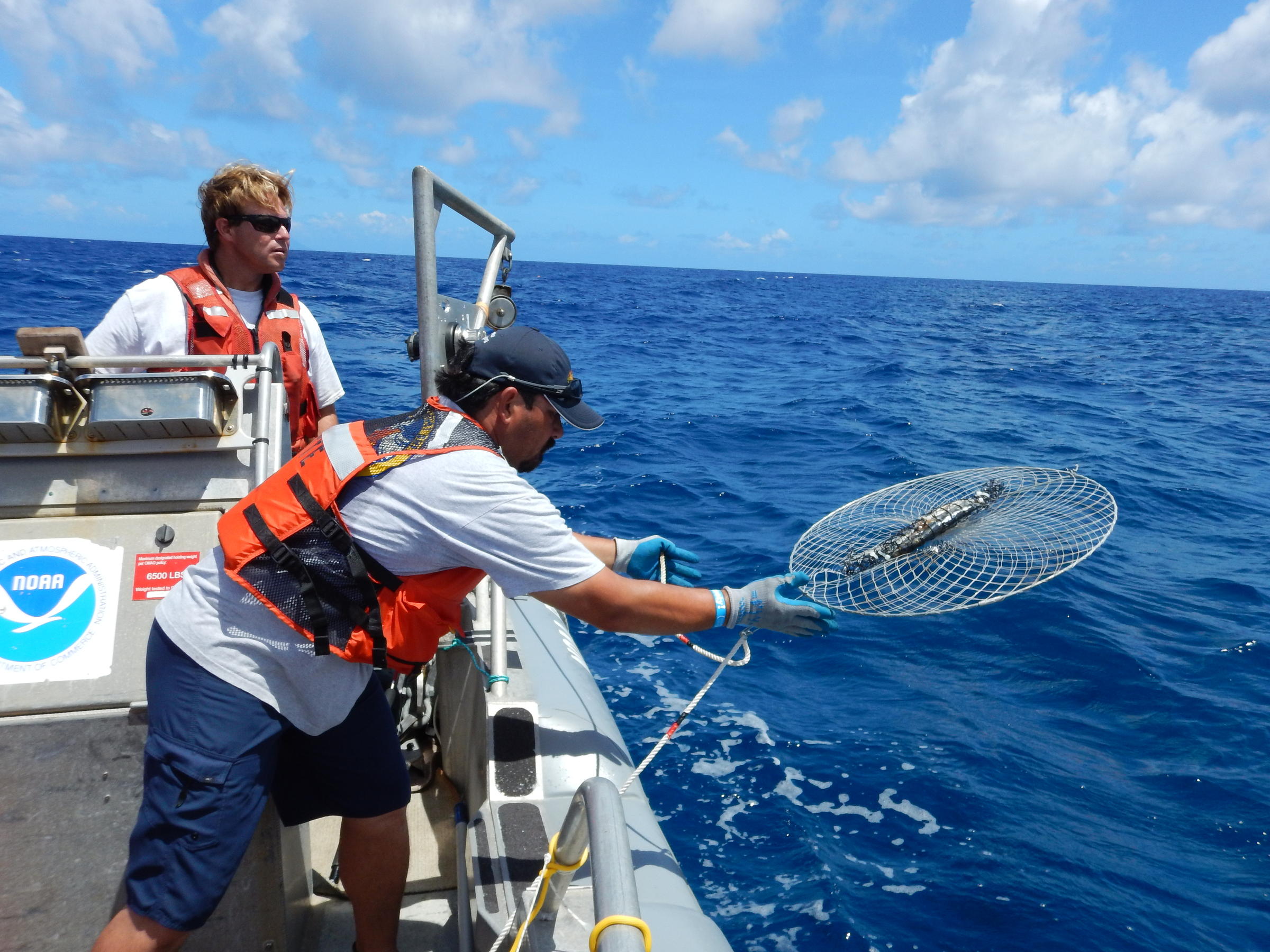 Report Hawaiʻi Kona Crab Ample Enough For Increased Fishing Hawaii