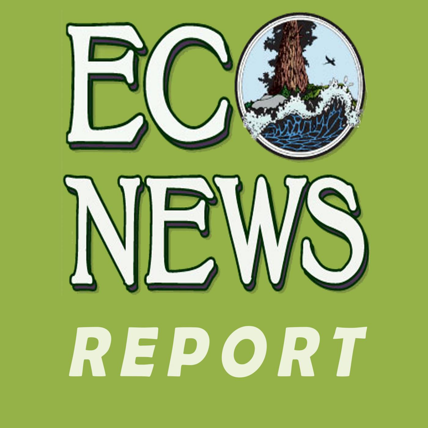 EcoNews Report