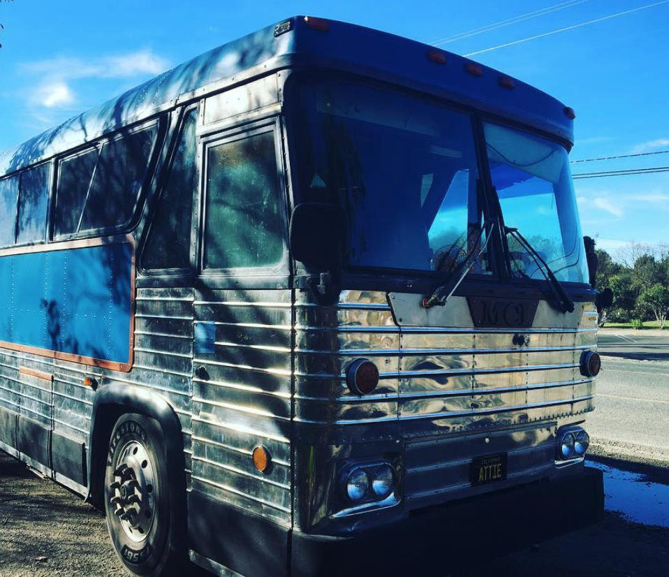 cats on greyhound bus