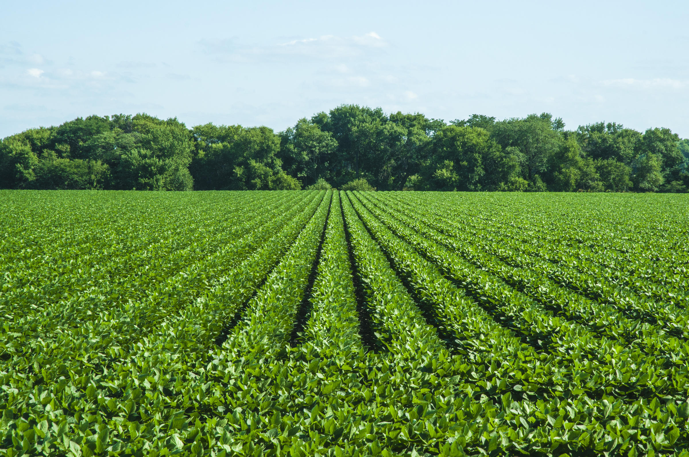 good-weather-enabled-nebraska-farmers-to-make-progress-in-planting-91