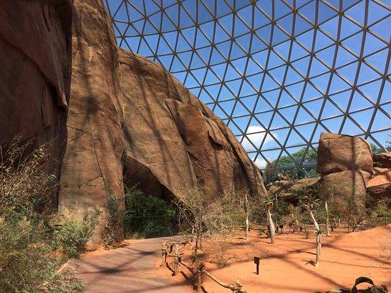 Henry Doorly Zoo Voted Second Best In Country | 91.5 KIOS-FM