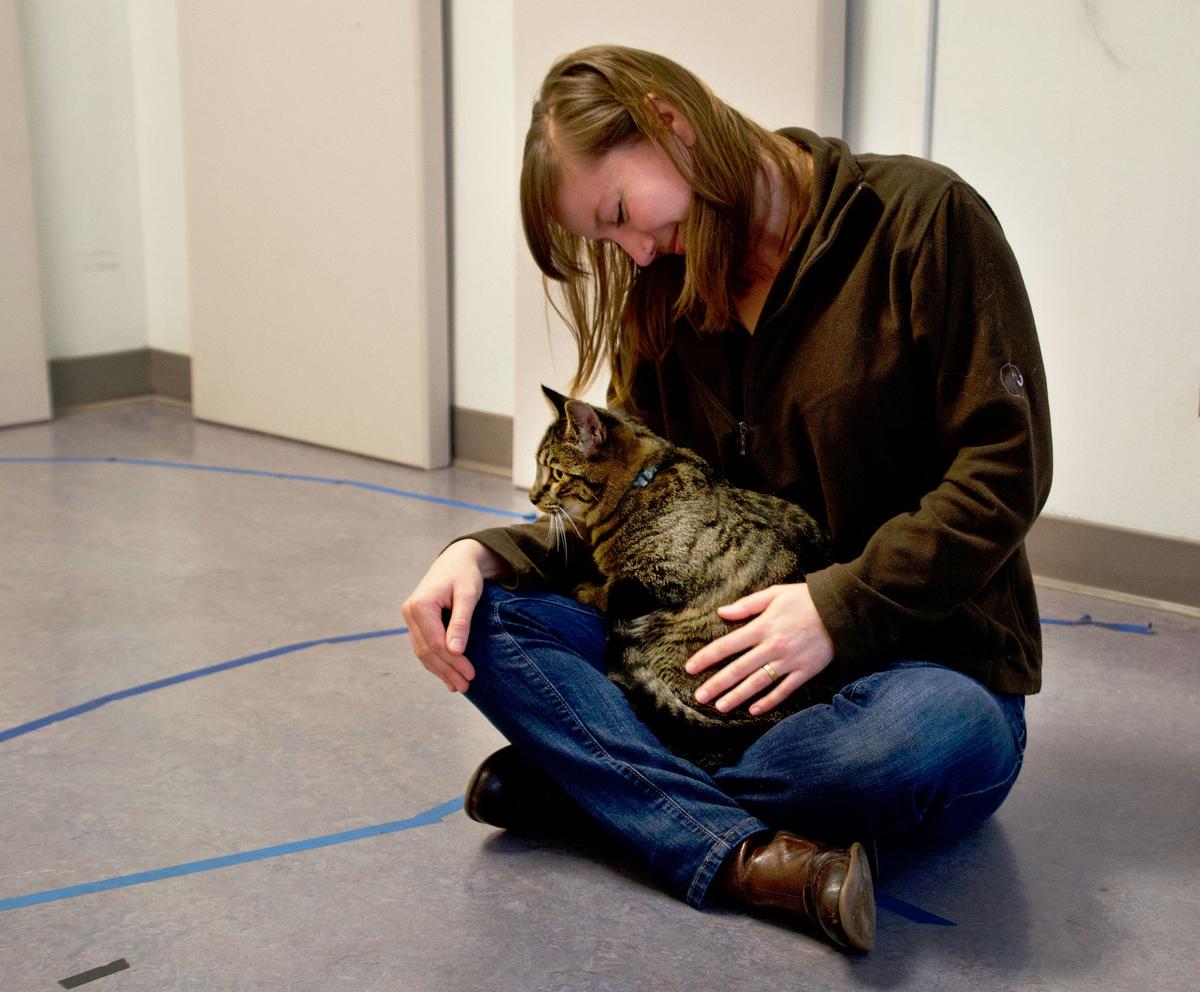 Do Cats Love Their Humans As Much As Dogs And Babies? Science Says 'Yes