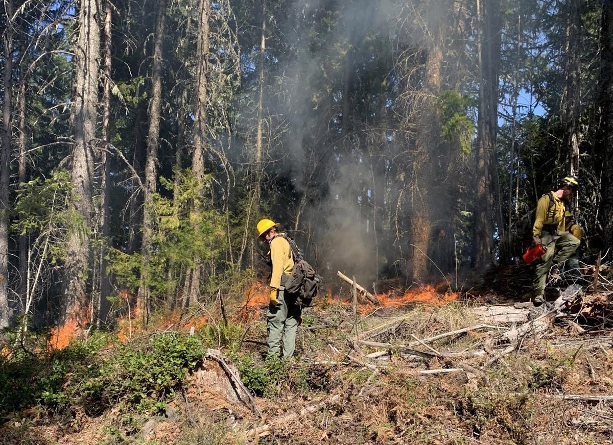 Firefighters Starting Prescribed Burns Around McKenzie Bridge, Oakridge