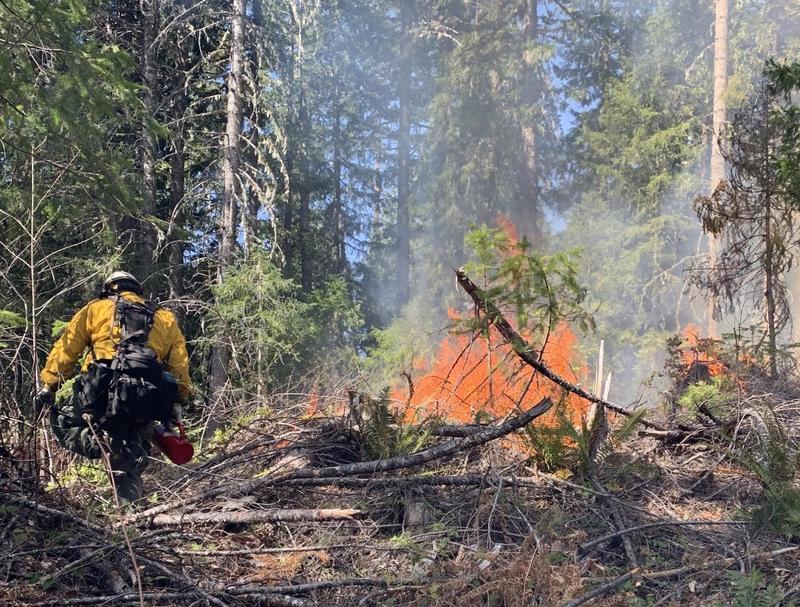 Firefighters Starting Prescribed Burns Around McKenzie Bridge, Oakridge