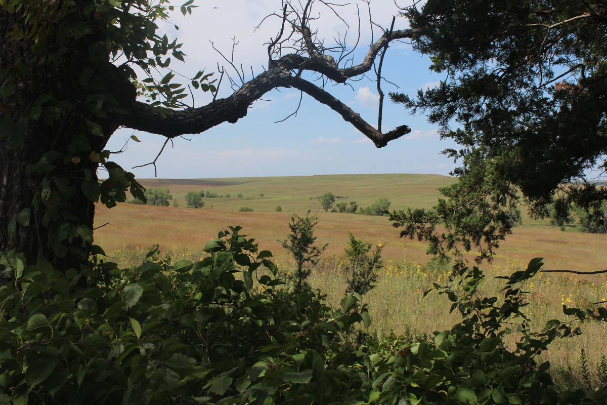 Approaching 20 Years, Tallgrass Prairie National Preserve Looks Forward ...